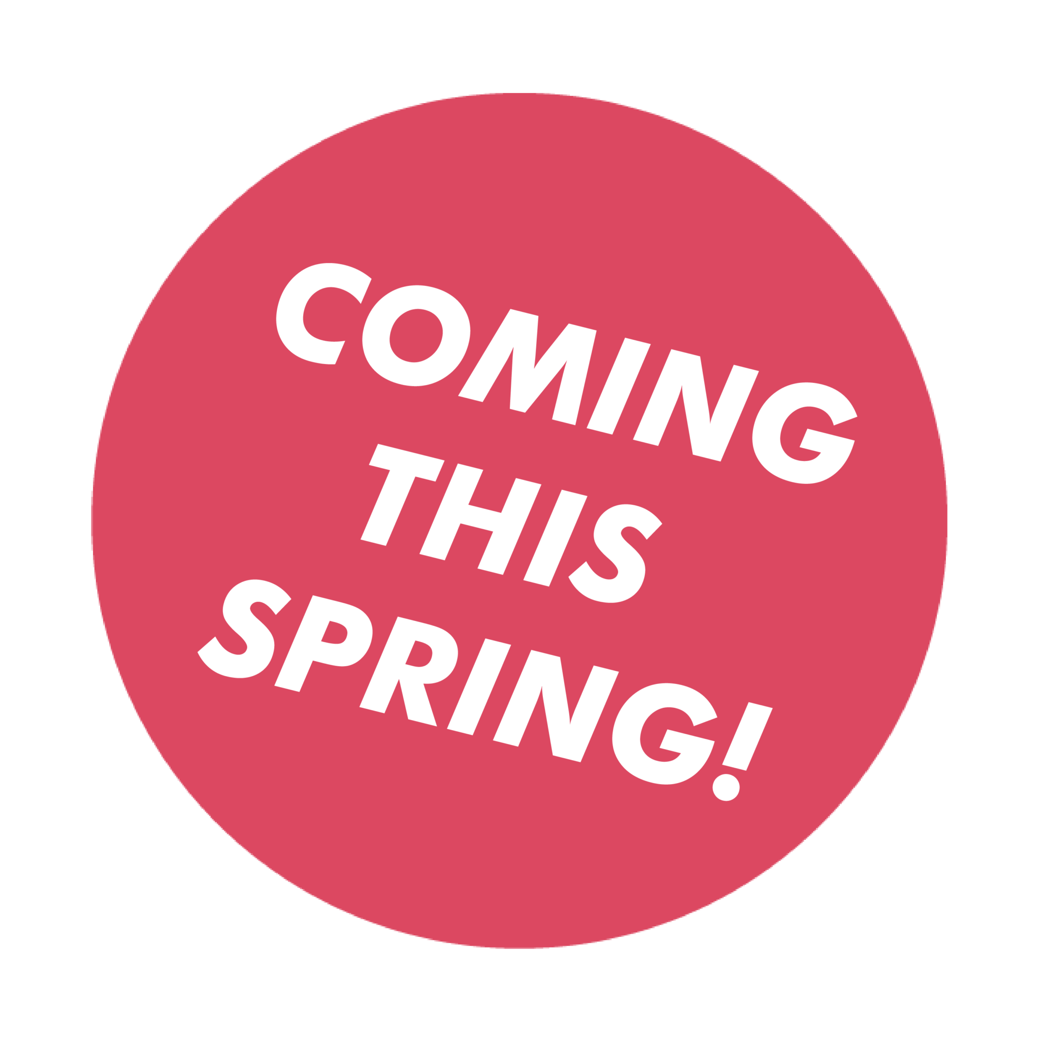 Canoff The Flying Disc Game